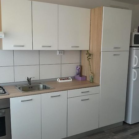 Studio Apartman Toplica Daruvar Bagian luar foto