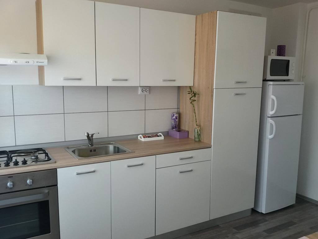 Studio Apartman Toplica Daruvar Bagian luar foto